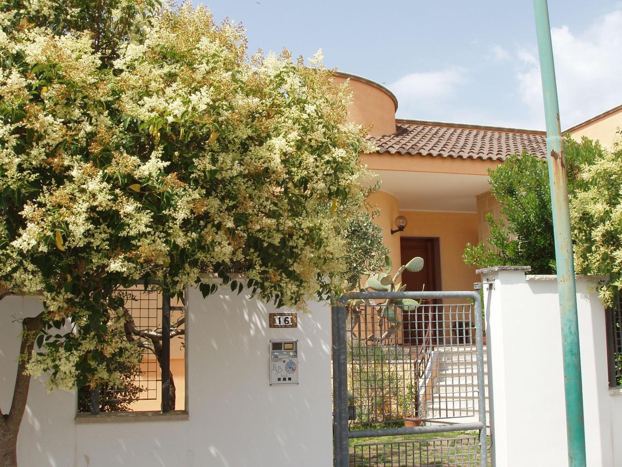 Bed and Breakfast Residenza Del Sole Surbo Екстер'єр фото